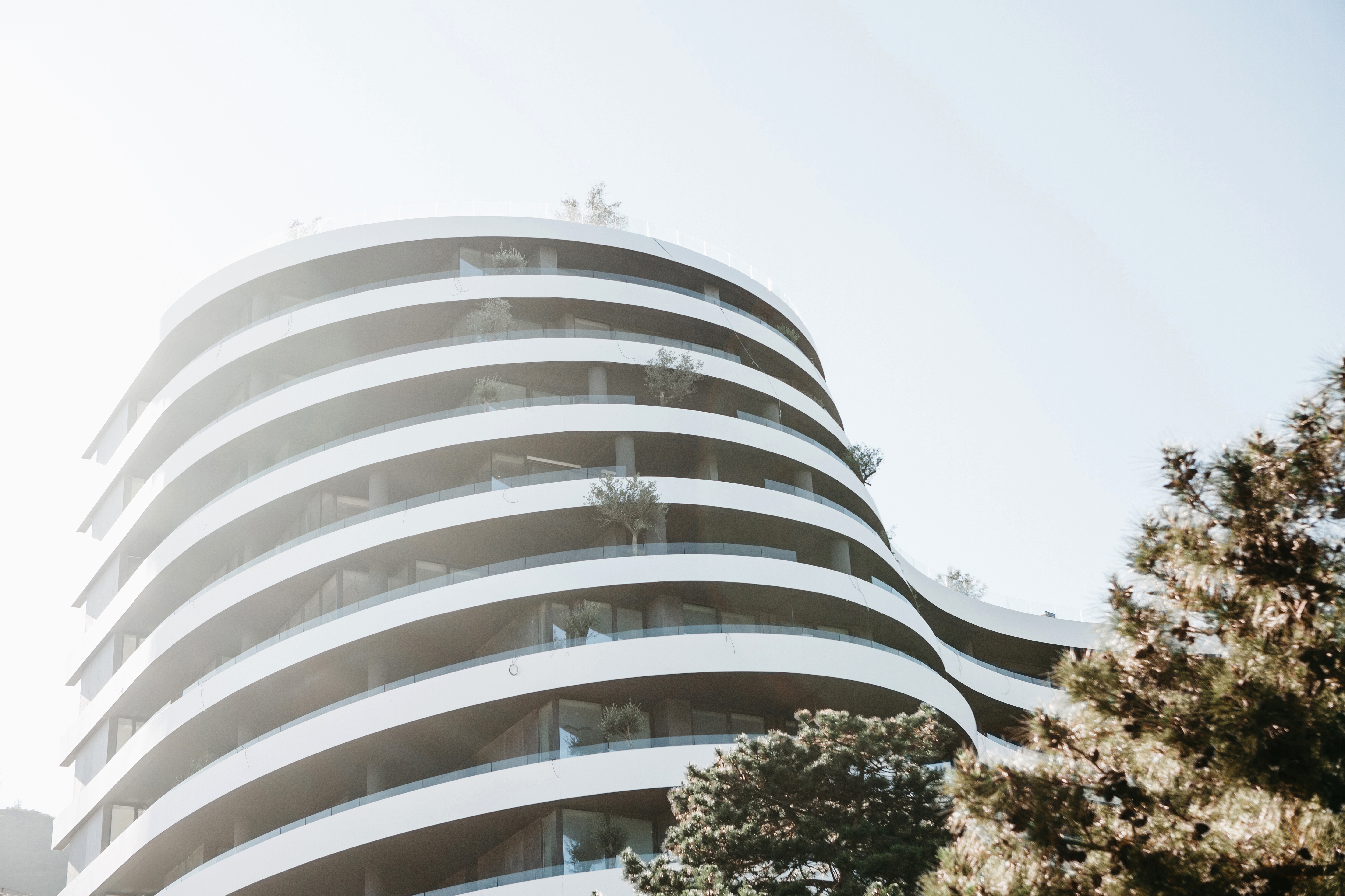Montenegrin office where foreigners who have obtained Montenegrin citizenship work