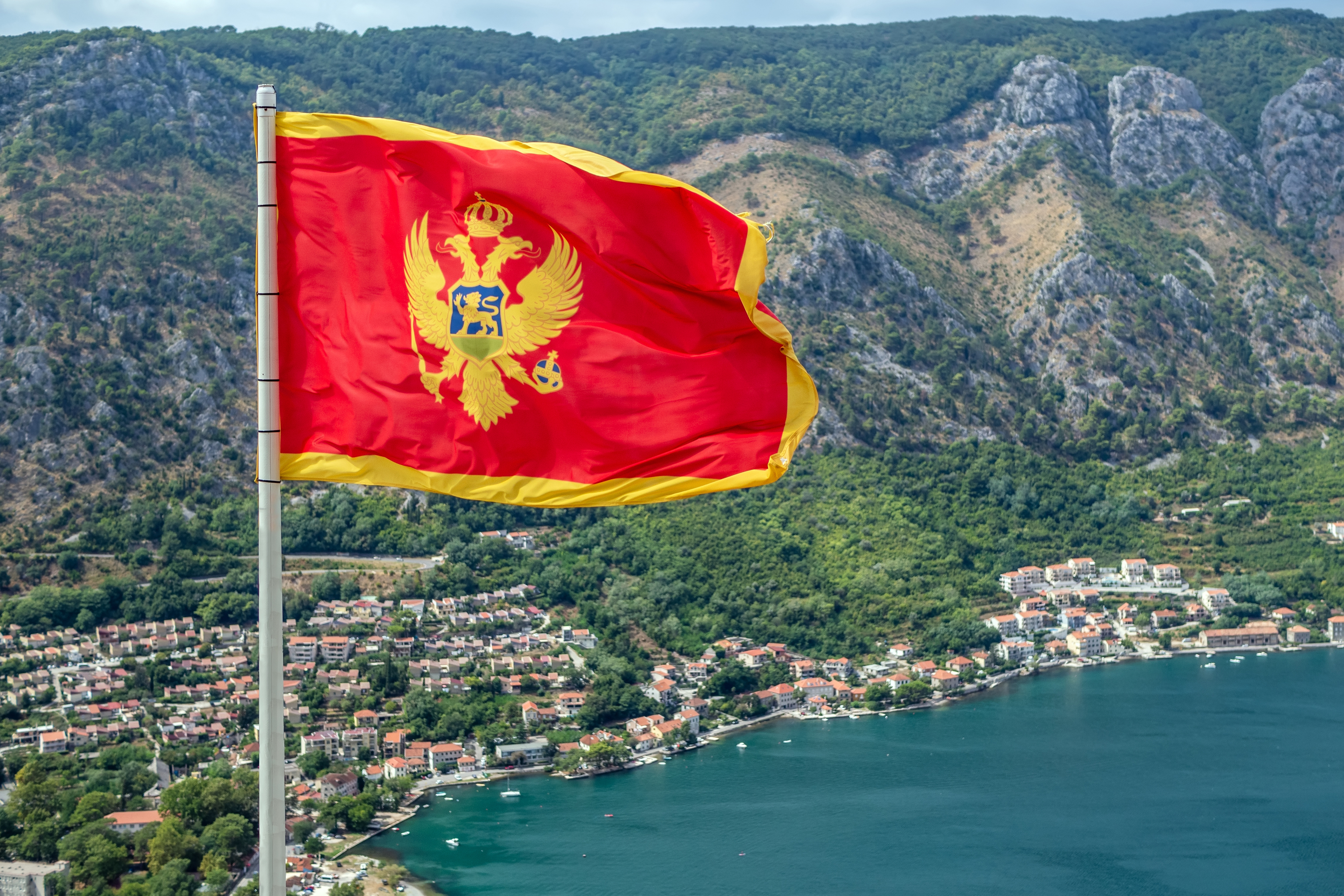 Obtaining a residence permit in Montenegro by opening a company: steps to be taken by a business immigrant