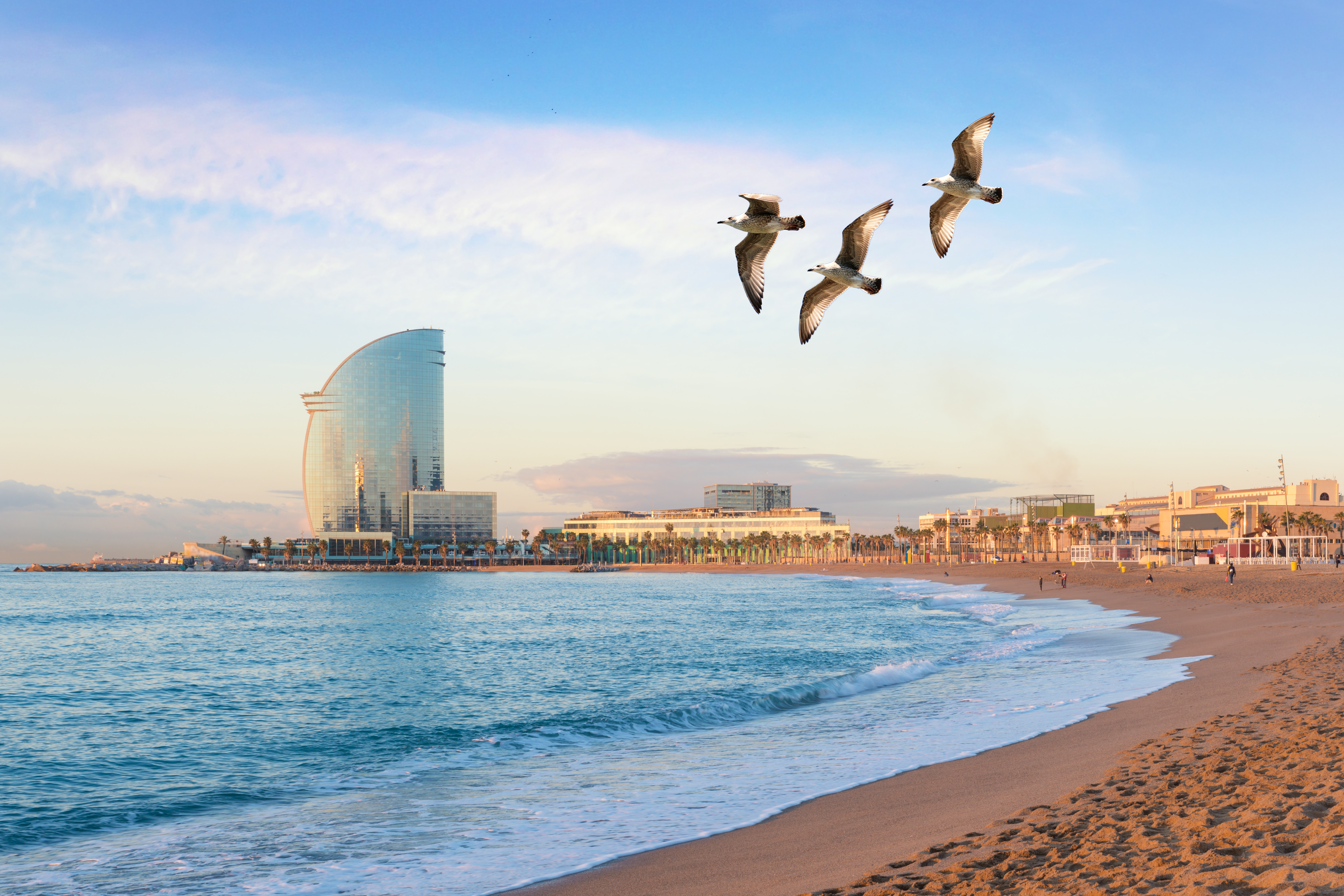 Residence permit in Spain